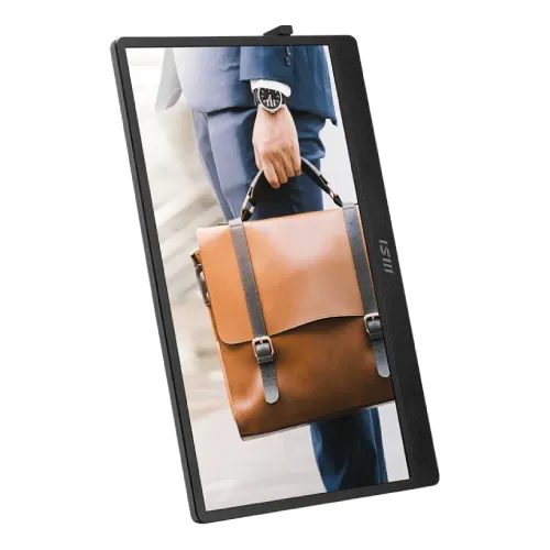 MSI PRO MP161 E2 15.6" IPS FHD Portable Monitor